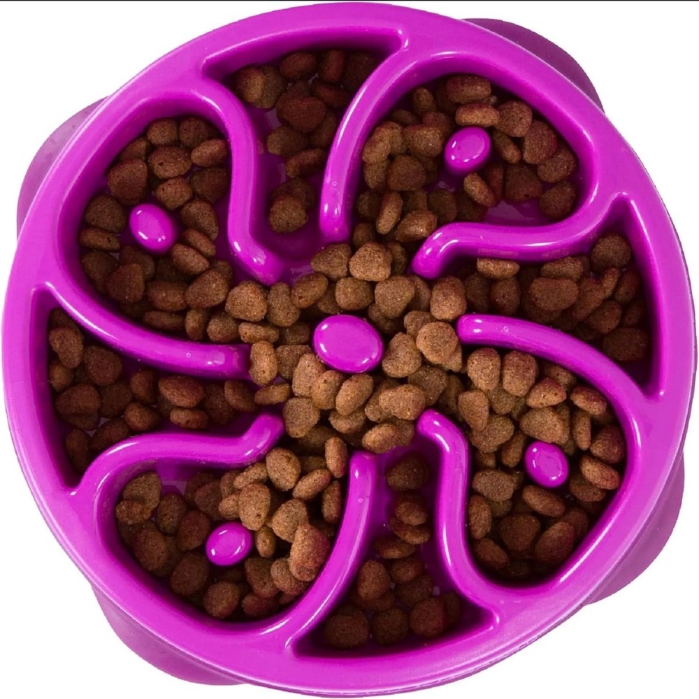 Large purple Pet dog Slow‎ Feeder Bowl